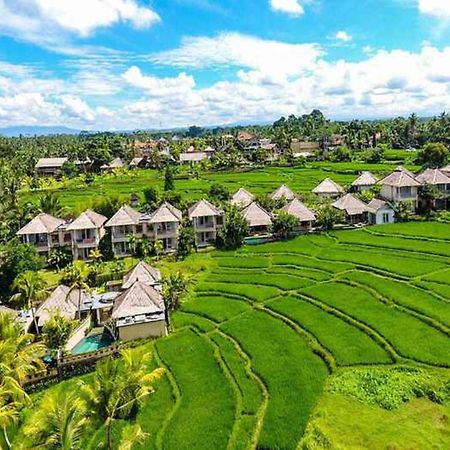 Mesari Hotel Ubud Exteriér fotografie