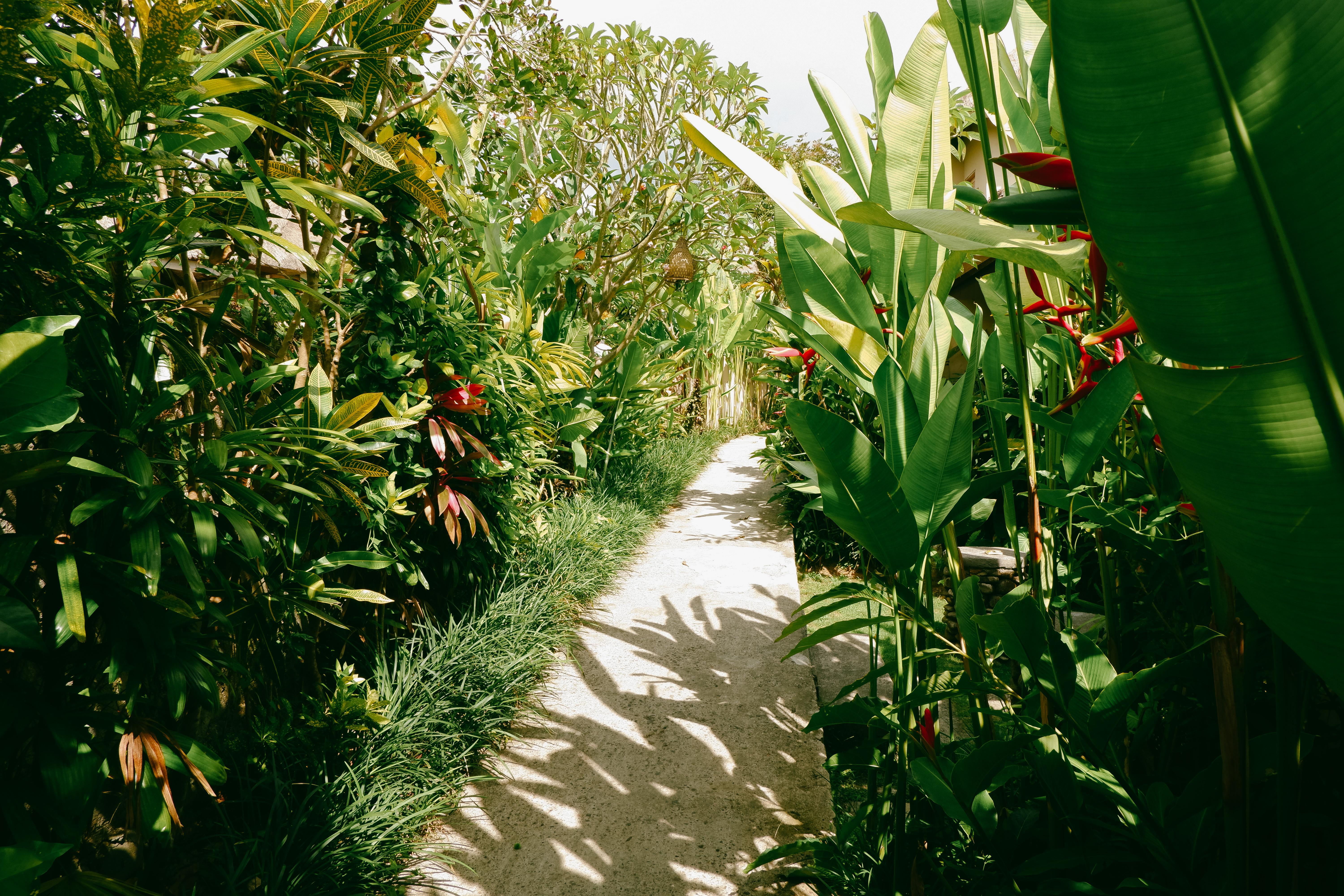 Mesari Hotel Ubud Exteriér fotografie