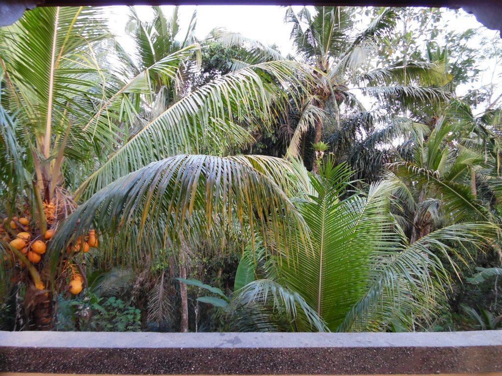 Mesari Hotel Ubud Exteriér fotografie