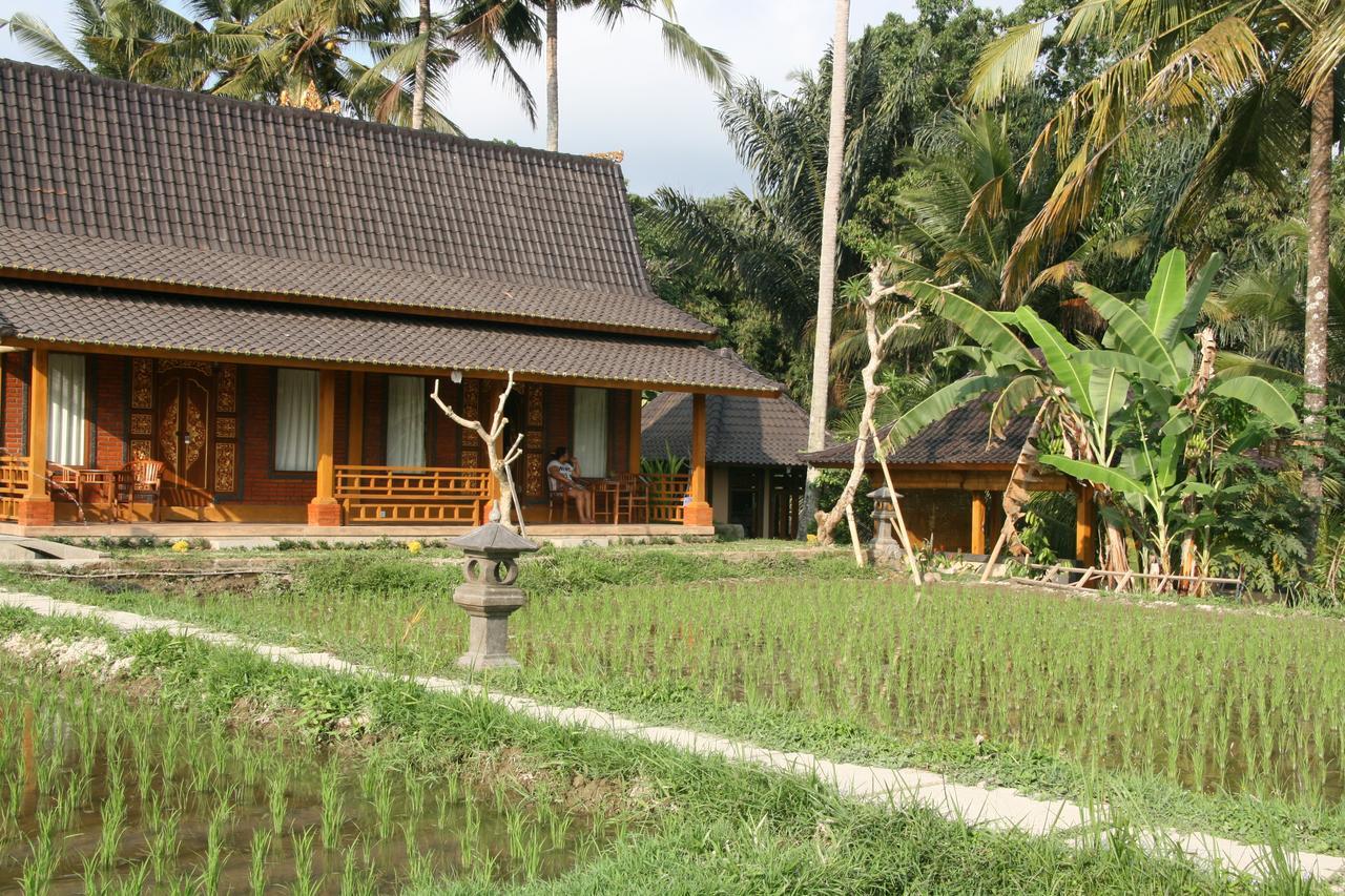 Mesari Hotel Ubud Exteriér fotografie