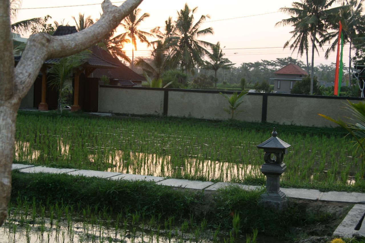 Mesari Hotel Ubud Exteriér fotografie