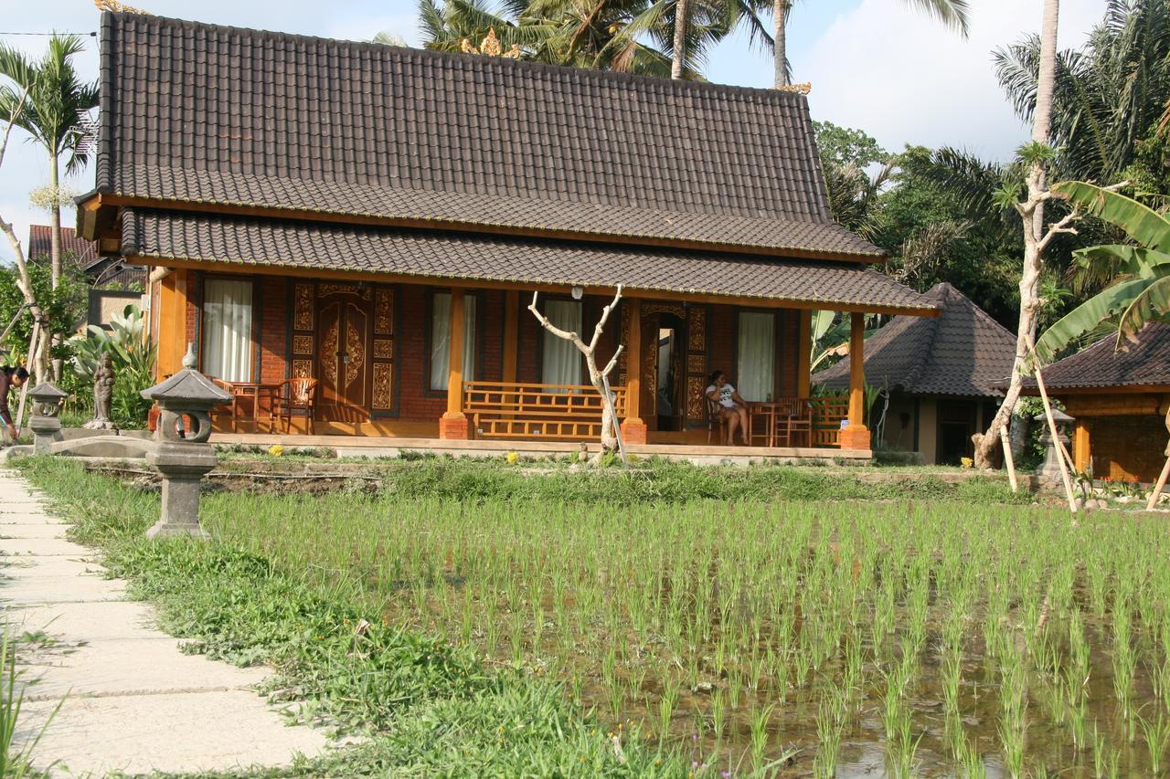 Mesari Hotel Ubud Exteriér fotografie