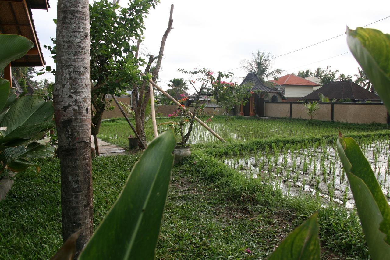 Mesari Hotel Ubud Exteriér fotografie